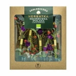 Herbatka liofilizowana Słoneczna Polana EKO 5 sztuk - Dary Natury