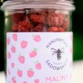 Maliny liofilizowane 40 g - Pasieki Rodziny Sadowskich