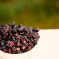 Borówki liofilizowane 40 g - Pasieki Rodziny Sadowskich
