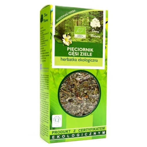 Pięciornik gęsi ziele EKO 50 g - Dary Natury