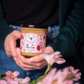 Pasta z nerkowców 300 g - Pasieki Rodziny Sadowskich
