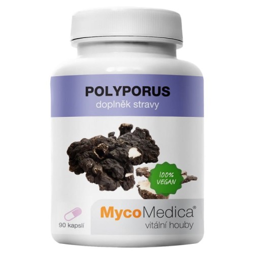 Polyporus (żagiew wielogłowa) 30% polisacharydów 90 kapsułek - Mycomedica