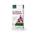 Pelargonia afrykańska 450 mg 60 kapsułek - Medica Herbs