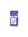 Olejek eteryczny naturalny kocimiętka 10 ml - Etja