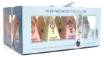 Kolekcja ekologicznych herbat owocowo - ziołowych 12 piramidek w 6 różnych smakach Your Wellness Collection 24 g - English Tea Shop