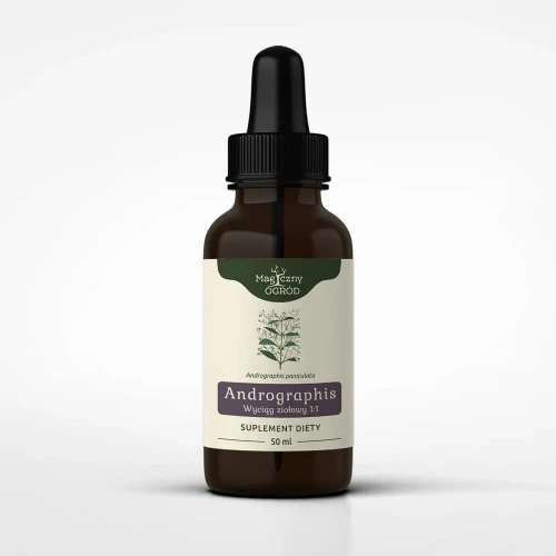 Andrographis paniculata nalewka 1:1 50 ml - Magiczny Ogród