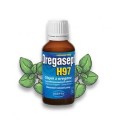 Oregasept H97 olejek z oregano 30 ml - Asepta
