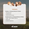 Ekstrakt z Shiitake (twardziak jadalny) 400 mg 90 kapsułek - Biowen