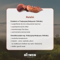 Reishi ekstrakt 400 mg 90 kapsułek - Biowen