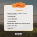 Cordyceps ekstrakt 400 mg 90 kapsułek - Biowen