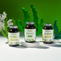 BIO Algae Detox 500 mg 240 tabletek - Biowen
