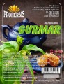 Gurmar 50 g - Proherbis