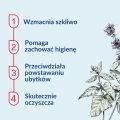 Naturalna pasta do zębów bez fluoru 100 ml - Sylveco
