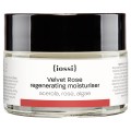 Aksamitna Róża Krem regenerująco - nawilżający acerola, róża, algi 50 ml - iossi
