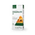 Amigdalina B17 4 mg 60 kapsułek - Medica Herbs