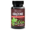 Krążenie ruszczyk diosmina kasztanowiec 60 kapsułek - Skoczylas