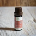 Ochrona mieszanka 100% olejków eterycznych 10 ml - Nanga