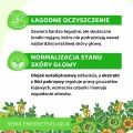 Normalizujący szampon do włosów 300 ml - Vianek