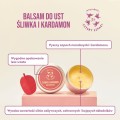 Balsam do ust Śliwka i Kardamon 15 ml - Cztery Szpaki