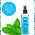 Płyn do mycia ekranów Mięta 200 ml - Zielko