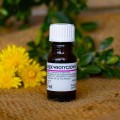Olejek wrotyczowy 10 ml - Herbapol Kraków