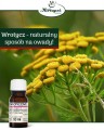 Olejek wrotyczowy 10 ml - Herbapol Kraków