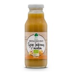 PRZECENA! (krótki termin) Syrop imbirowy z miodem EKO 270 ml - Dary Natury