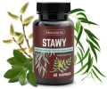 Stawy 60 kapsułek - Skoczylas