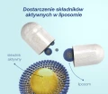 Lipocaps Zinc cynk liposomalny 60 kapsułek - ForMeds