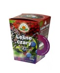 Herbatka Leśne czary 100 g - Natura Wita