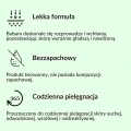 Balsam brzozowy do ciała z betuliną 300 ml - Sylveco