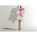 Dezodorant w sztyfcie Chic Magnolia certyfikowany bez aluminium 40 g - We Love The Planet