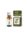 kamforowy.jpgNaturalny olejek eteryczny Kamforowy 10 ml - Etja
