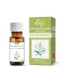 Naturalny olejek eteryczny Eukaliptus cytrynowy 10 ml - Etja