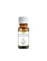 Naturalny olejek eteryczny Eukaliptus cytrynowy 10 ml - Etja