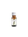 Naturalny olejek eteryczny Kamforowy 10 ml - Etja