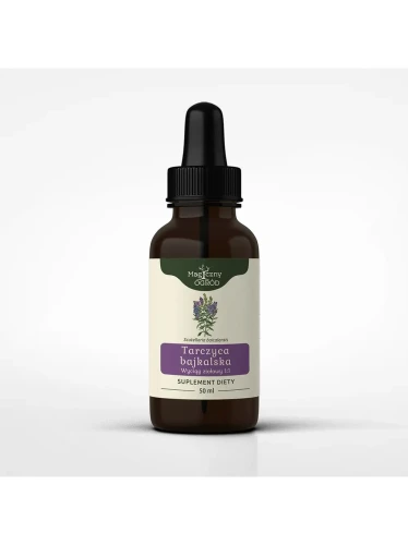 Tarczyca bajkalska nalewka 1:1 50 ml - Magiczny Ogród