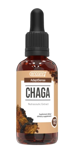 Chaga ekstrakt w płynie 50 ml - Encann