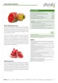 Płaski brzuch + oczyszczanie BIO 45 tabletek - Physalis