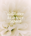 Mineralny dezodorant kojący dla skóry wrażliwej Shield Me Softly 50 ml - Veoli Botanica