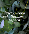 Mineralny dezodorant pielęgnujący dla skóry normalnej Shield Me Daily 50 ml - Veoli Botanica