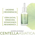 Eliksir z wąkrotą azjatycką 30 ml - FeedSKIN