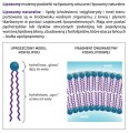 Liposol™ Liposomalna witamina K2 (Vita MK7) 100 uq + D3 4000 IU 250 ml - Aliness