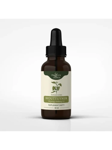 Houttuynia cordata nalewka 1:1 50 ml - Magiczny Ogród