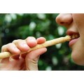 Miswak patyczek do czyszczenia zębów i dziąseł naturalna szczoteczka - Unicorn