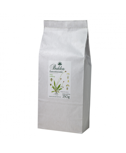 Babka lancetowata 250 g - Natura Wita