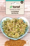 Lucerna Alfalfa nasiona na kiełki 20 g - Toraf