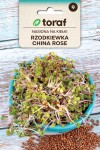 Rzodkiewka China Rose nasiona na kiełki 20 g - Toraf
