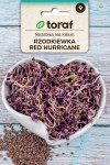 Rzodkiewka Red Hurricane nasiona na kiełki 10 g - Toraf