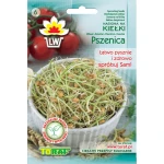 Pszenica nasiona na kiełki 50 g - Toraf